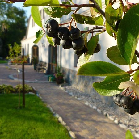 LubiechowaAronia Park别墅 外观 照片