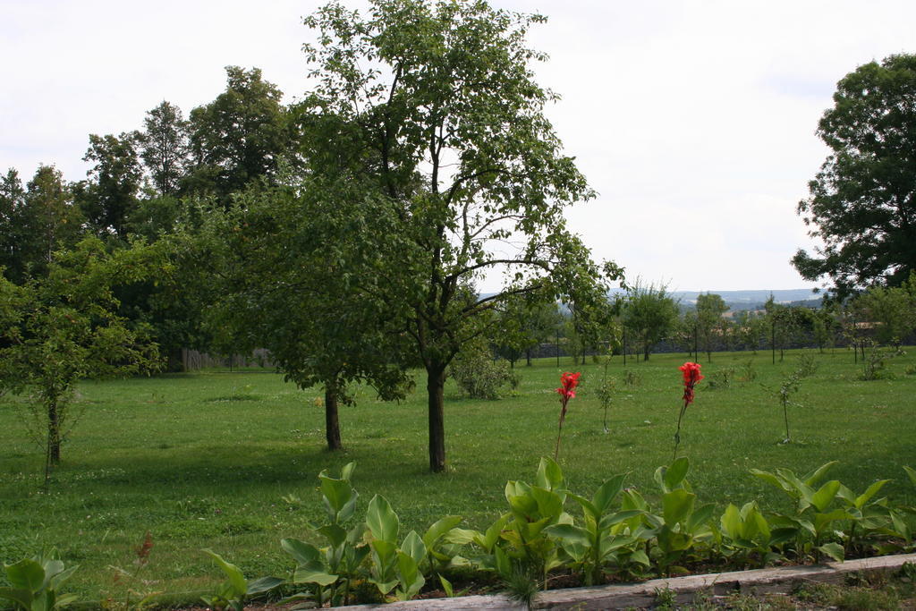 LubiechowaAronia Park别墅 外观 照片