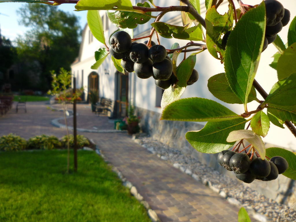 LubiechowaAronia Park别墅 外观 照片